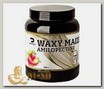 Waxy Maize Amilopectin