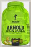 Iron Mass Arnold Series