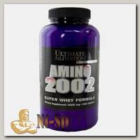 Amino 2002
