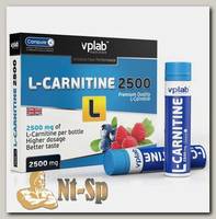 L-Carnitine 2500 mg