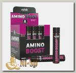 Amino Boost Liquid