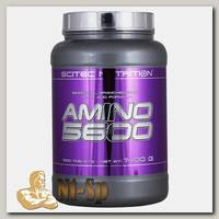 Amino 5600