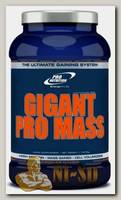 Gigant Pro Mass