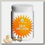 Sea Urchin (экстракт+икра морского ежа)