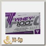 Протеин Whey 100