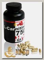 L-Carnitine 750