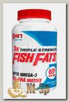 Fish Fats