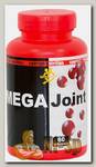 Mega Joint
