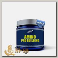 Amino Pro Building