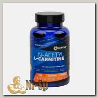 N-Acetyl-L-Carnitine