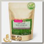 Organic Wheatgrass Premium Powder (Ростки пшеницы)