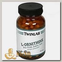 L- Ornithine