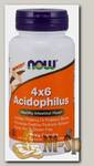 4X6 Acidophilus (пробиотик)