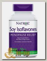 Soy Isoflavones menopause relief