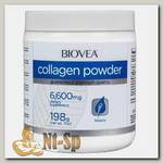 Collagen powder 6600 мг